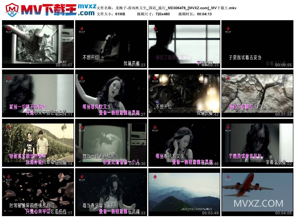 龙梅子-春风吹又生_国语_流行_MD306478